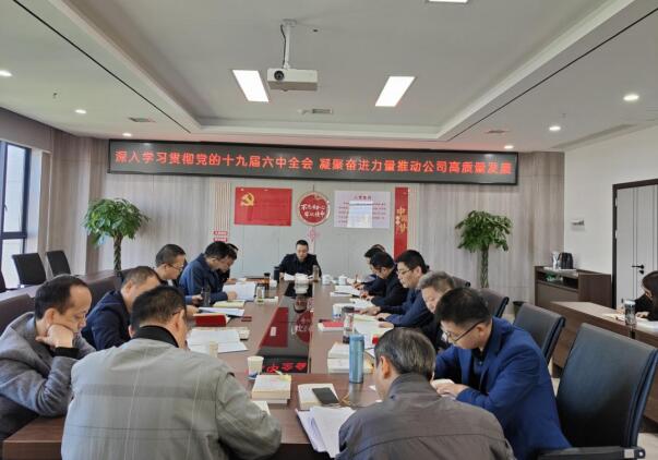 常德路桥集团 党委理论学习中心组 学习贯彻党的十九届六中全会精神